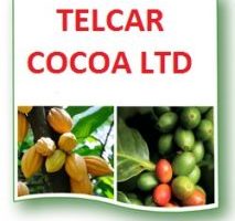 telcar-cocoa-213x213